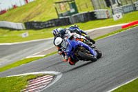 anglesey;brands-hatch;cadwell-park;croft;donington-park;enduro-digital-images;event-digital-images;eventdigitalimages;mallory;no-limits;oulton-park;peter-wileman-photography;racing-digital-images;silverstone;snetterton;trackday-digital-images;trackday-photos;vmcc-banbury-run;welsh-2-day-enduro